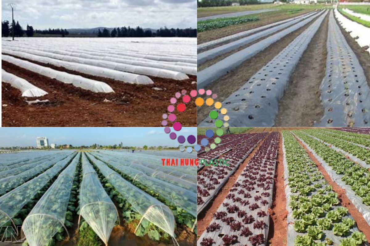 Read more about the article Cuộn màng pe nông nghiệp