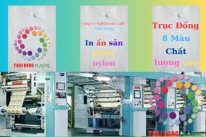 Read more about the article IN TÚI NILON